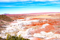Petrified Forest/Painted Desert