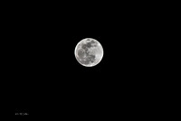 Lunar Eclipse 1/20/19