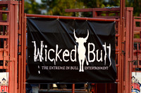 Wicked Bull 2013