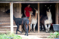 Farm day
