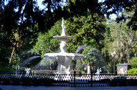 Savannah