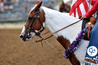 Rodeo 5 July 2011